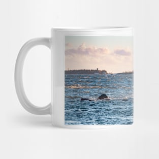 Evening on Baltic Sea Mug